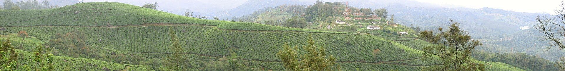 Munnar, Kerala