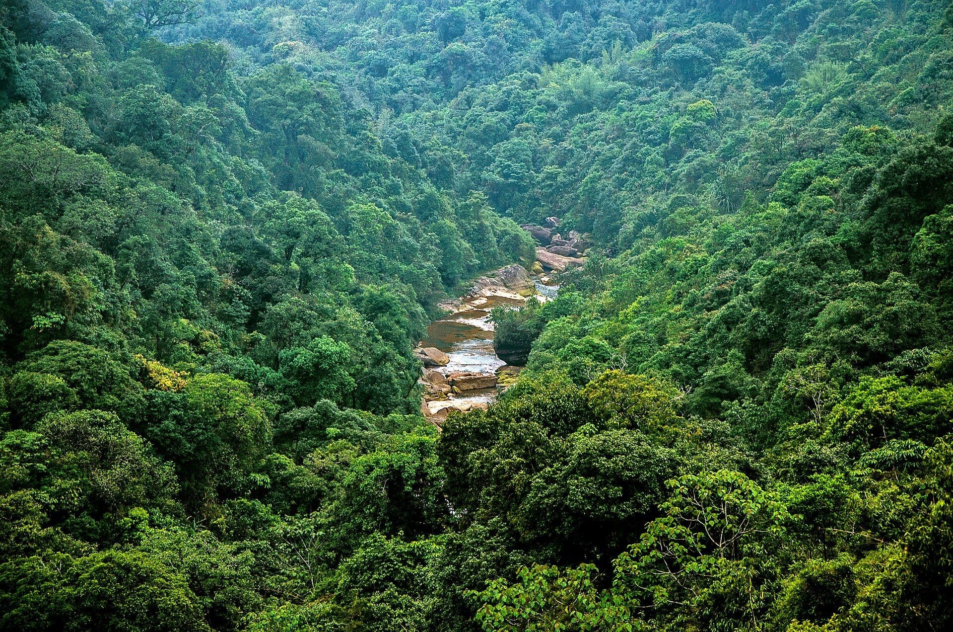 Northeast India for First-Timers