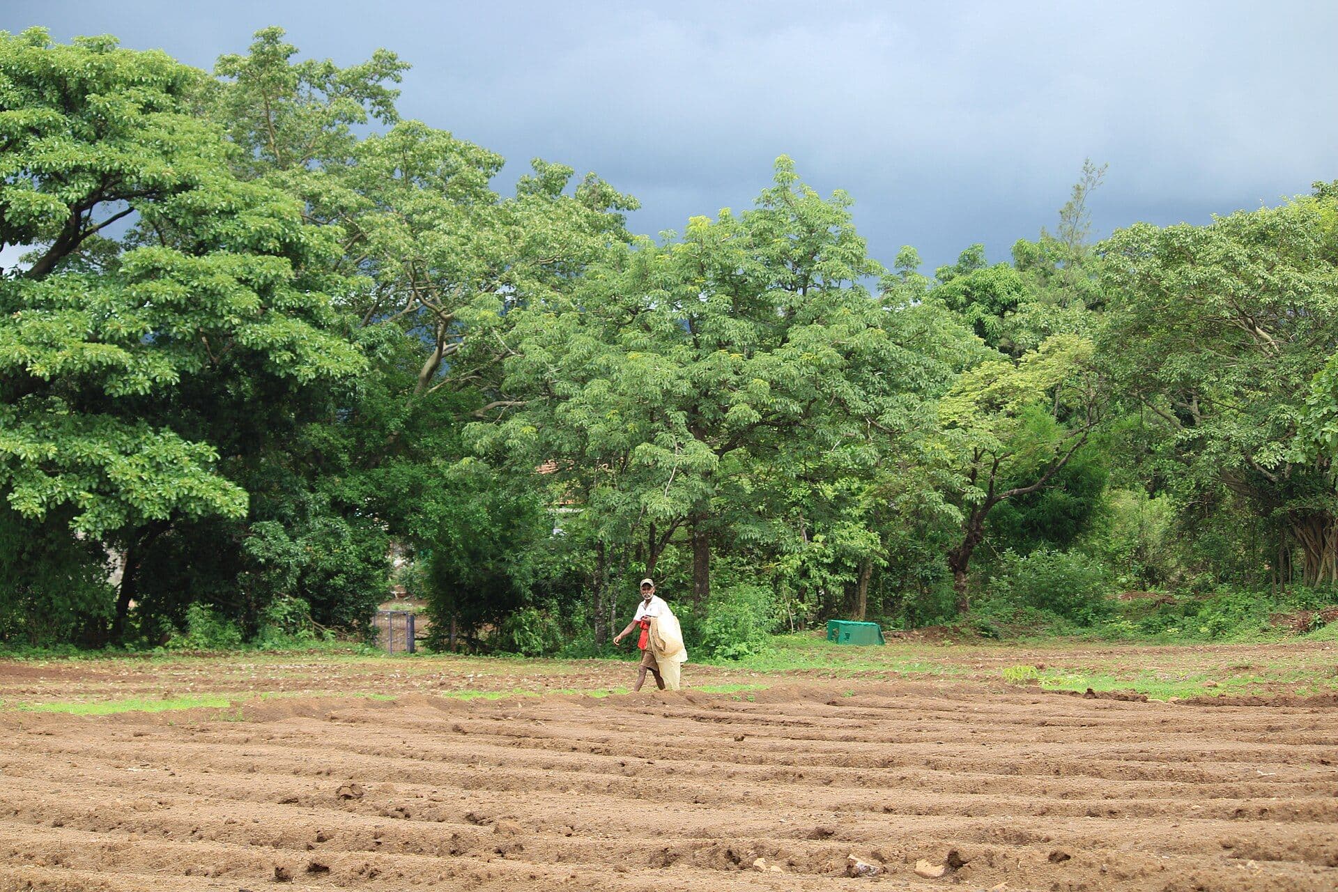 5 Monsoon Drives Near Pune Under 3 Hours