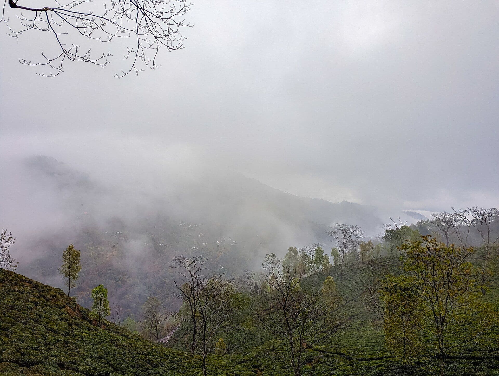 West Bengal